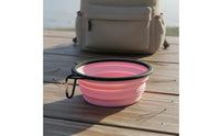 Portable Pet Travel Bowl Lightweight Foldable Double Pet Bowl for Dogs, Cats, Outdoor, Camping, Hiking
