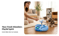 Interactive Rotating Ball Cat Toy Cutout Ball Track Toy Smooth Pet Supply Molded
