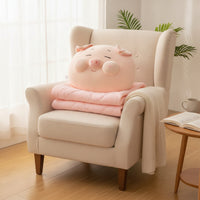 Pig Pillow with Blanket Soft Pig Cushion Blanket Cute Bedding Car