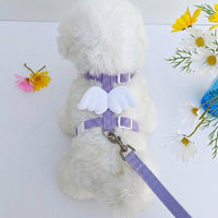 Cat Harness and Leash Set for Walking, Adjustable Strap Kitten Harness with Buckle, Non-Retractable Kitten Leash for Small to Medium Pets
