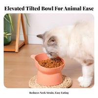 Wide Mouth Bear Shaped Pet Bowl Easy to Clean Elevated Cat Bowl Cute Design for Kittens, Senior Pets, Indoor, Kitchen, Living Room