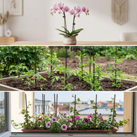 Dyed Waxed Bamboo Sticks Plant Support Stakes for Orchids and Floral Arrangements
