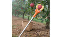 Fruit Picking Pole Lightweight 3-Claw Fruit Picker for Garden