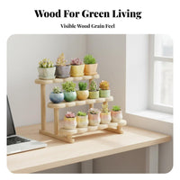 Stair Design Tiered succulent plant Stand Space-Saving Multilevel Display Stand Decorative Plant Holder for Office Workers, Home Decorators, Students, Windowsill, Balcony, Study Room, Countertop