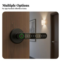 Biometric Door Lock Multiple Methods Biometric Door Lock with Handle Anti-Peep Password for Homeowners, Bedroom, Apartment, Rental Property