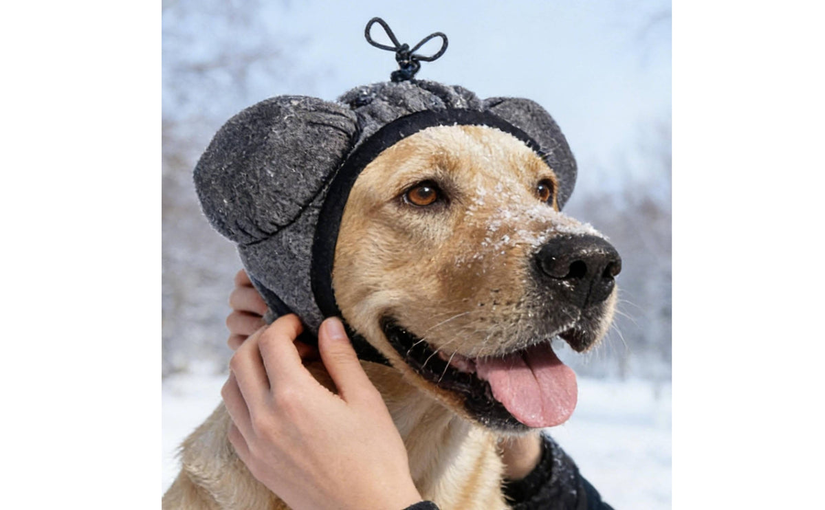 Canine Ear Muffs Secure Fit Adjustable Dog Earmuff Soft Padded Canine Ear Muff for Salon