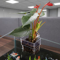 Aquascaping Decoration Hanging Aquarium Planter Easy Installation Hanging Aquarium Plant Holder Promotes Healthy Root Growth Clear Hydroponic Basket Slotted for Water Flow