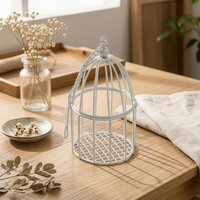 Miniature Birdcage Domed Top Decorative Enclosure Grid-Pattern Base