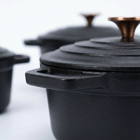 5 Piece Cast Iron Enameled Dutch Ovens with Lids, Induction Cookware for Family Meals, Casserole Dishes for Home Kitchen