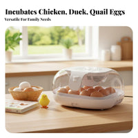 Intelligent Temperature Control Automatic Egg Incubator 360° Air Circulation Intelligent Egg Hatching Machine for Beginners, Small Farm