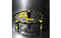 Outdoor Rebound Ball Game Set Competitive Spike Game with Balls Portable Compact for Backyard