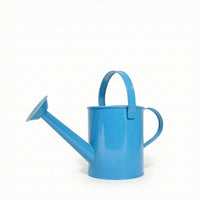Watering Can with Sprinkler Rose Indoor Metal Watering Can Lightweight
