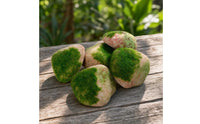 5 Pieces Fake Rock Hollow Faux Rock Realistic Garden Stone for Planter