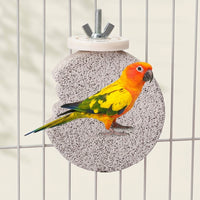 Parrot Nail Iron stand, Bird Perch with Rough Surface, Grinding Claw Toy and Bird Nail File for Budgie and Cockatiel Cage Accessory
