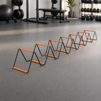 agility ladder