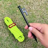 tent stakes and guy lines