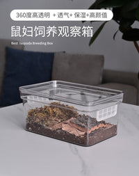 鼠妇饲养盒饲养箱西瓜虫饲养盒鼠妇生态缸鼠妇饲养套餐西瓜虫饲养