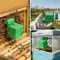 Queen Cage Ventilated Swarm Catcher Swarm Catcher Plastic Beekeeping Tools Rigid for Beekeepers