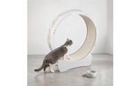 Textured Track Indoor Feline Exercise Wheel White Frame Feline Exercise Wheel Curved Base Pet Equipment Wood-Toned