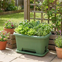 Rectangular Planter, Flower Pot, 50cm, Deep Type, 33L, Made of Polypropylene Resin, For Home Gardening & Balcony Gardening, With Drainage Filter Net & Tray