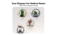 drilldamageno-cost Installation Semi-Circle Pot Rack Easy to Install Plant Holder Minimalist Design vertical surface Mounted Display Space-Saving for Renters, Apartment Dwellers, Home Decorators, Balcony, Living Room, Entrymethod, Hallmethod
