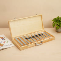 Xylophone with Carry Case Diatonic Xylophone with Case Glockenspiel for Beginners, Classroom