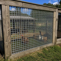 Galvanized Welded Wire Mesh for Fencing and Construction