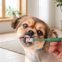 Dog Toothbrush and Cleaning Brush for Cat Toothbrush Soft Bristles, Fresh Breath for Bad Breath and Oral Hygiene, 360 Degree Brush Head, Non Slip