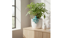 Garden Decoration Planter Accessory Whimsical Accent for Bookshelf