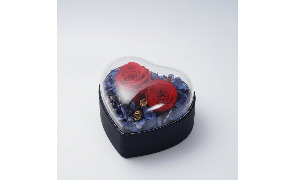 Jewelry Presentation Box Giftpresentation-Ready Box with Clear Lid Romantic for Proposal, Anniversary