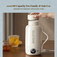 Travel Electric Kettle, Adjustable Temp
