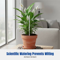 Soil Moisture Meter, No Battery, Color Gauge, Indoor Outdoor, Multiple Sizes