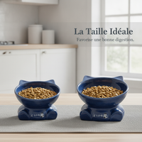 Ceramic Tilted Pet Bowl for Cats and Small Dogs, Anti-Tip Design, Food and Water Dish for Kittens and Puppies
