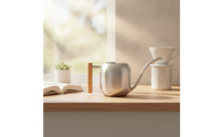 Stainless Steel Watering Can Small Long Spout Watering Can Rust-Resistant Gardenware for Houseplants, Balcony