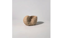 Mineral Conch with Hollow Top Handcrafted Beach Conch Statue Sculptural Decor for Coffee Table
