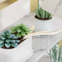 Stylish Design Succulent Watering Can Gentle Flow Long Spout Watering Can Comfortable Handle Gardening Supply Long-Lasting for Balcony, Office