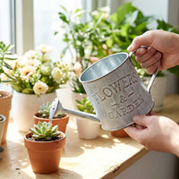 Plant Pots and Hanging Basket for Indoor Plants, Round Iron Planter with Distressed Finish for Wall Decor, Metal Hanging Chain for Outdoor Plants