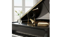 Brass Instrument Gold Colored French Brass Instrument Includes Stand Musical Equipment for Orchestra, Band, Practice