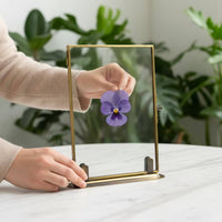 Glass Frame with Metal Border Tabletop Levitating Frame with Stand Vintage for Collectors, Crafters, Desk, Shelf, Entryway Table