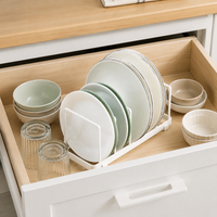 Metal Dish Drying Rack, Sink Organizer with Cutlery Holder, Matte Drip Tray for Kitchen Countertop, Rust-Resistant