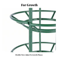 split-loopMouth clasp Grafting brace loop Prevents stalk Bending Stackable Plant support systalk Easy Installation Gardening Accessory Promotes Healthy Growth for Houseplant hobbyists, Gardeners, Beginners, Potted Plants, Balcony, Garden, verdanthouse