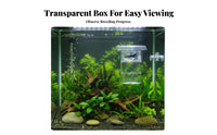 Guppy Breeder Box Double-Tier-Tier Design Aquatic Habitat Separation Box Buoyant Aquatic Pet Hatchery Suction Holder Mount