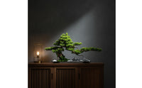 Artificial Evergreen Bonsai Zen Artificial Bonsai Tree Plant Tabletop Scenic for Living Room, Entryway