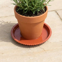 Plant Trays with Built-in Drip Tray, Heavy Duty Pot Saucers, Essential for Outdoor Plants and Base Control, Indoor Accessories