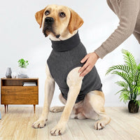 Dog Comfort Vest for Calming Relief, Polyester Jacket Vest in a Casual Style for Autumn Wear, Pet Calming for Visits and Separation