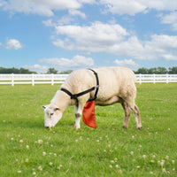 Anti-Breeding Apron Long-Lasting Breeding Control Apron Reliable Practical for Breeders, Farms, Pastures