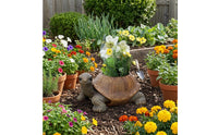 Textured Shell Turtle Planter Sculpted Decorative Turtle Planter Painted Eyes Outdoor Decor Multicolored for Garden, Courtyard