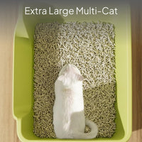 Jumbo Open Cat Litter Box with Splash Guard, Odor Control
