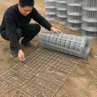 Hot-dip Galvanized Welded Wire Mesh, 1.2mm Wire Diameter, 1.5×1mm Mesh, Rectangular Wire Mesh, Concrete Reinforcement, Wire Mesh Fence, 1.5×20m