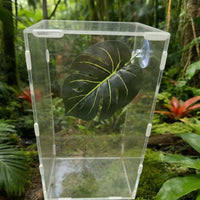 Turtle Basking Perch with Artificial Leaf Decoration, Suction Cup Crested Gecko Tank Resting Area for Betta Aquatic Pet